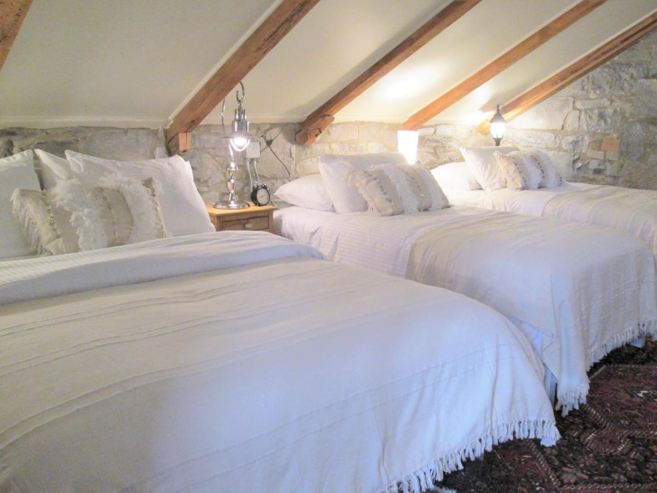 All Suites Whitney Manor Кингстон Экстерьер фото